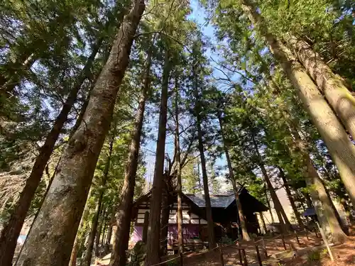 山家神社の自然