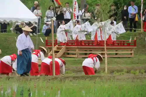 高屋敷稲荷神社のお祭り