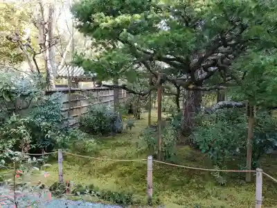 地蔵院の{uncategorized: "未分類", other: "その他", undefined: "問題あり", building: "その他建物", grave: "お墓", sacred_gate: "鳥居", guardian: "狛犬", statue: "像", buddha: "仏像", history: "歴史", nature: "自然", garden: "庭園", animal: "動物", pagoda: "塔", temizu: "手水舎", mountain_gate: "山門・神門", sanctuary: "本殿・本堂", subordinate: "末社・摂社", art: "芸術", scenery: "景色", jizo: "地蔵", ema: "絵馬", goshuin: "御朱印", omikuji: "おみくじ", items: "授与品その他", amulet: "お守り", goshuincho: "御朱印帳", eats: "食事", festival: "お祭り", votive_dance: "神楽", shichigosan: "七五三参", wedding: "結婚式", experience: "体験その他", initially: "初詣", around: "周辺", anti_infection: "感染症対策"}