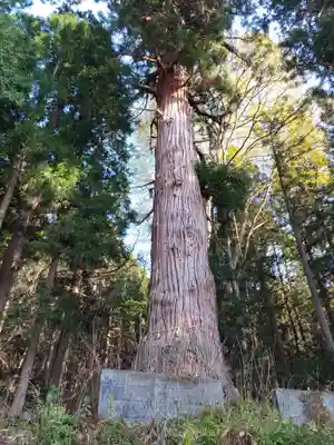 天照皇御祖神社(秋田県)