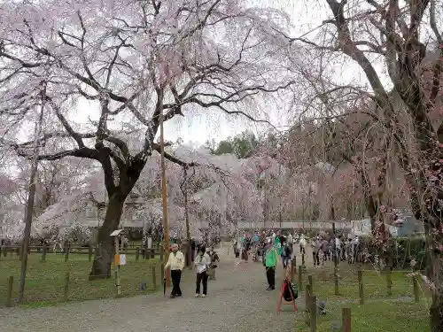 清雲寺の景色