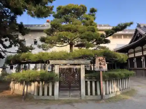 高砂神社の自然