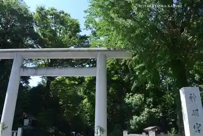 阿佐ヶ谷神明宮(東京都)