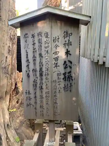東神奈川熊野神社(神奈川県)