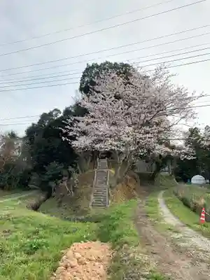 神社（名称不明）の自然