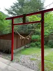 藤乃稲荷神社の鳥居