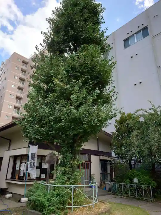 千束稲荷神社(東京都)