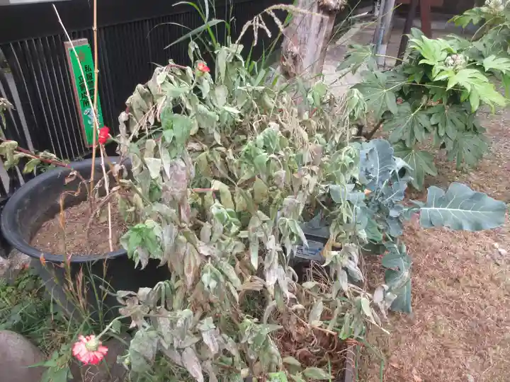 専称寺(東京都)