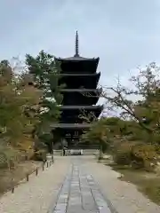 仁和寺の塔