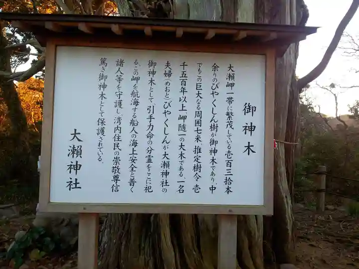 大瀬神社の御朱印