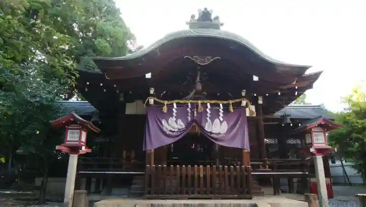 離宮八幡宮の本殿・本堂