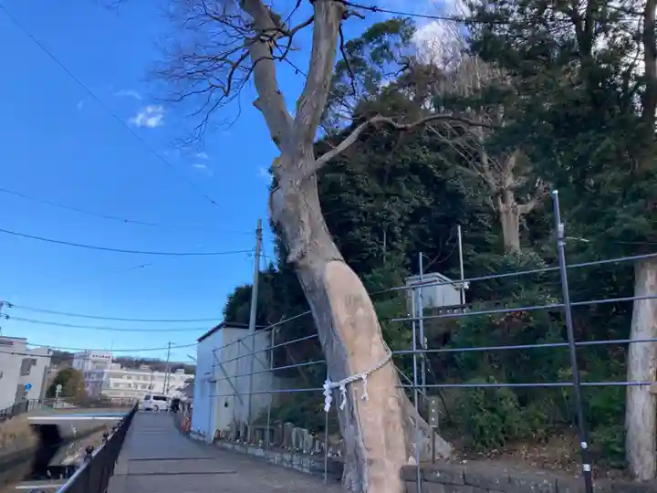 手子神社(神奈川県)