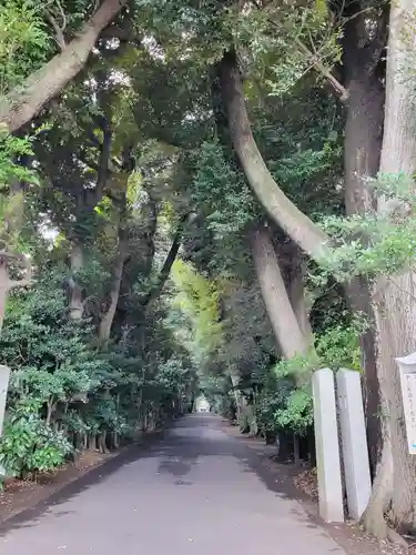 岩槻久伊豆神社の建物その他