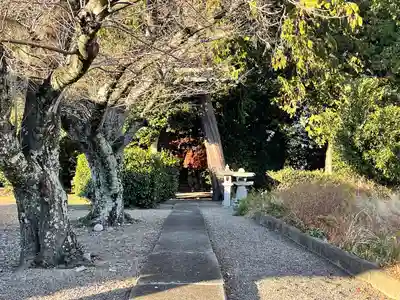八幡神社(滋賀県)
