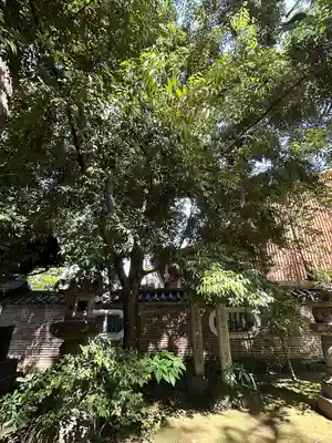 赤坂氷川神社(東京都)