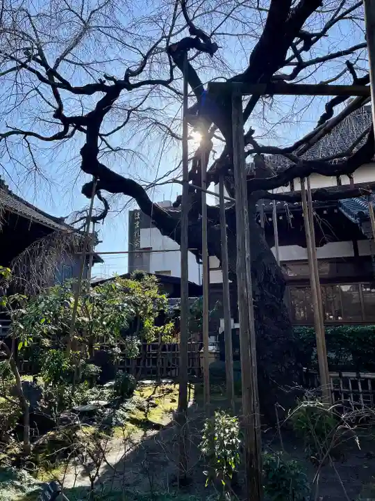 玉蔵院(埼玉県)