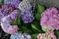 高司神社〜むすびの神の鎮まる社〜(福島県)