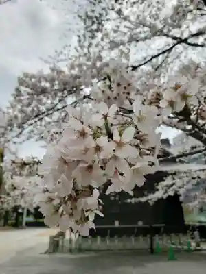 熊野神社(東京都)
