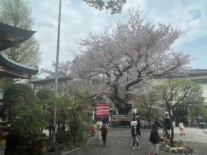 居木神社(東京都)