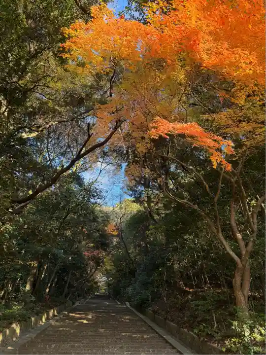 豊国廟(豊国神社飛地境内)(京都府)
