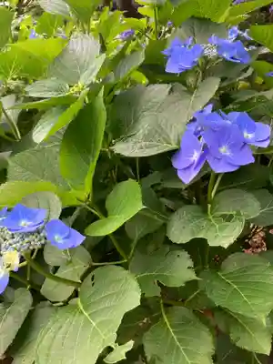 佛日庵(神奈川県)