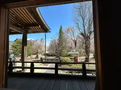 安養寺の{uncategorized: "未分類", other: "その他", undefined: "問題あり", building: "その他建物", grave: "お墓", sacred_gate: "鳥居", guardian: "狛犬", statue: "像", buddha: "仏像", history: "歴史", nature: "自然", garden: "庭園", animal: "動物", pagoda: "塔", temizu: "手水舎", mountain_gate: "山門・神門", sanctuary: "本殿・本堂", subordinate: "末社・摂社", art: "芸術", scenery: "景色", jizo: "地蔵", ema: "絵馬", goshuin: "御朱印", omikuji: "おみくじ", items: "授与品その他", amulet: "お守り", goshuincho: "御朱印帳", eats: "食事", festival: "お祭り", votive_dance: "神楽", shichigosan: "七五三参", wedding: "結婚式", experience: "体験その他", initially: "初詣", around: "周辺", anti_infection: "感染症対策"}