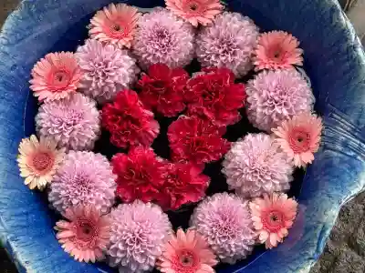 川越八幡宮(埼玉県)