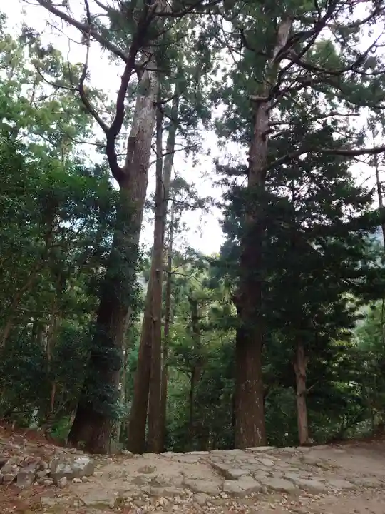飛瀧神社(熊野那智大社別宮)(和歌山県)