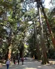 鹿島神宮(茨城県)