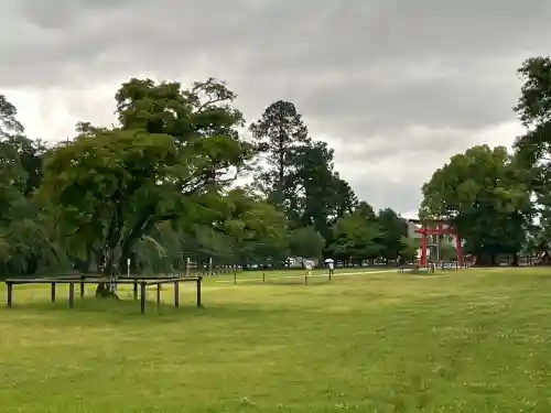 賀茂別雷神社（上賀茂神社）(京都府)