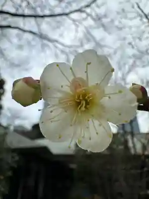愛宕神社(東京都)