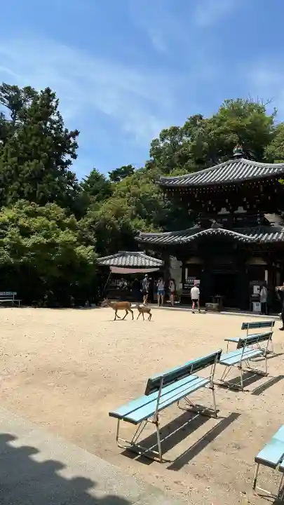 霊火堂の{uncategorized: "未分類", other: "その他", undefined: "問題あり", building: "その他建物", grave: "お墓", sacred_gate: "鳥居", guardian: "狛犬", statue: "像", buddha: "仏像", history: "歴史", nature: "自然", garden: "庭園", animal: "動物", pagoda: "塔", temizu: "手水舎", mountain_gate: "山門・神門", sanctuary: "本殿・本堂", subordinate: "末社・摂社", art: "芸術", scenery: "景色", jizo: "地蔵", ema: "絵馬", goshuin: "御朱印", omikuji: "おみくじ", items: "授与品その他", amulet: "お守り", goshuincho: "御朱印帳", eats: "食事", festival: "お祭り", votive_dance: "神楽", shichigosan: "七五三参", wedding: "結婚式", experience: "体験その他", initially: "初詣", around: "周辺", anti_infection: "感染症対策"}