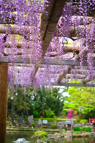 越ヶ谷久伊豆神社(埼玉県)