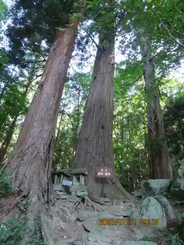 岩角山 岩角寺の自然