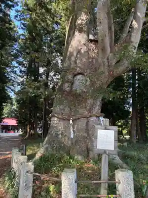 智賀都神社(栃木県)
