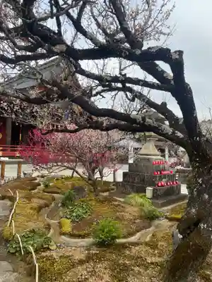 岩津天満宮(愛知県)
