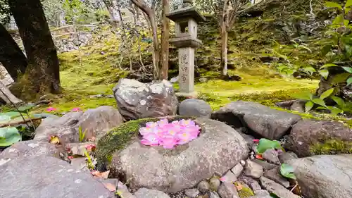 霊鑑寺門跡(京都府)
