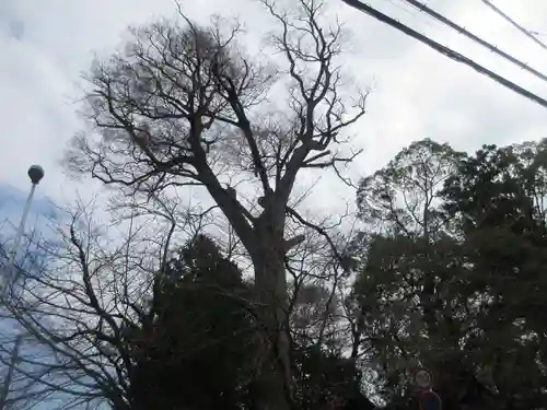 三島神社(神奈川県)