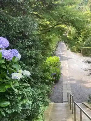 回春院(神奈川県)