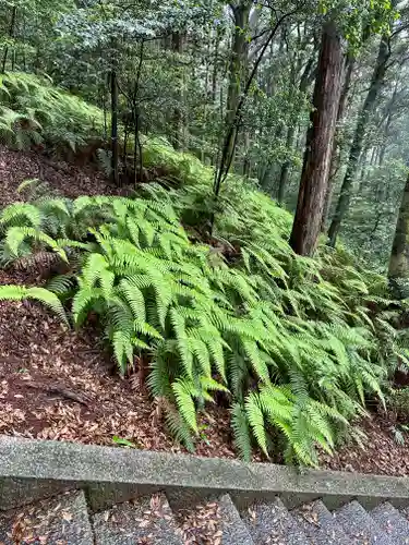 豊国廟（豊国神社飛地境内）の自然