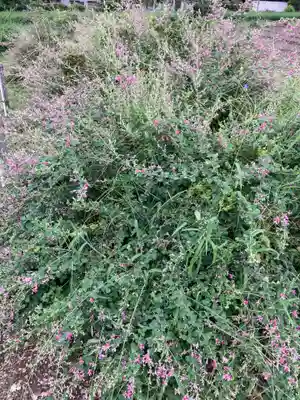 洞昌院(埼玉県)