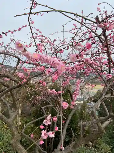 針綱神社の自然