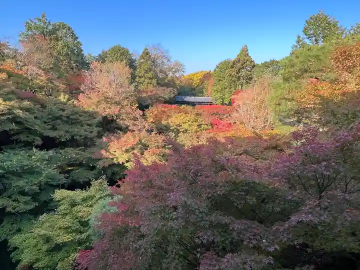 東福禅寺(東福寺)(京都府)