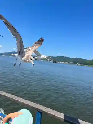 成相寺(京都府)