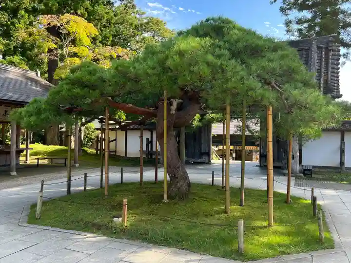 中尊寺(岩手県)