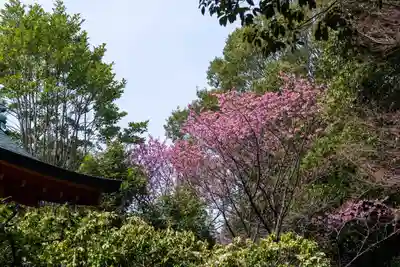 近江神宮(滋賀県)