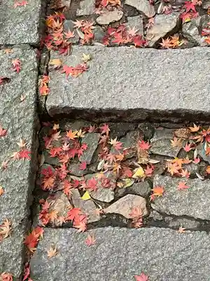 伏見稲荷大社(京都府)