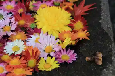 大鏑神社の手水舎