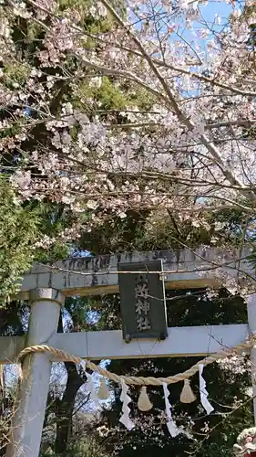 五所駒瀧神社の鳥居