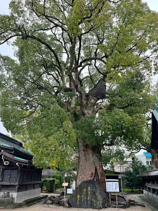 與賀神社(佐賀県)
